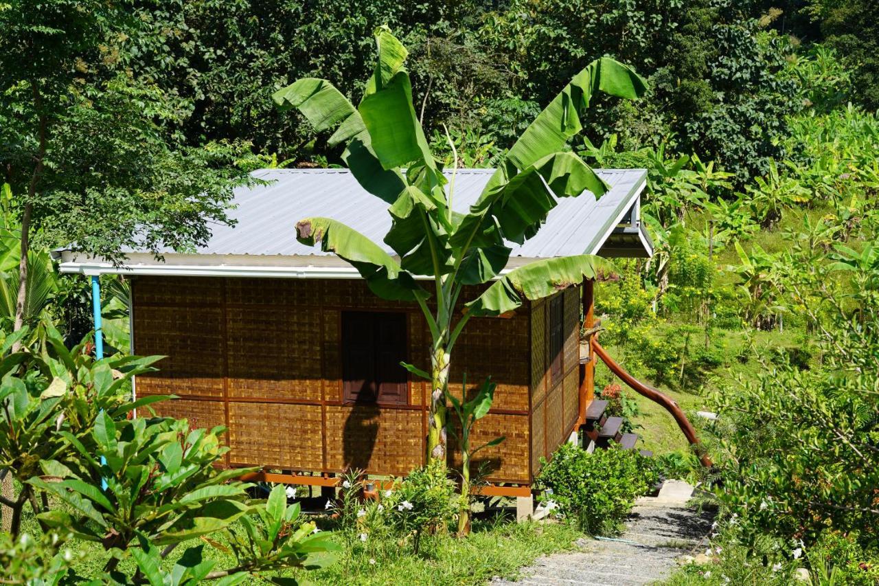 True Nature Chiang Mai - Yoga & Meditation Homestay Retreat エクステリア 写真