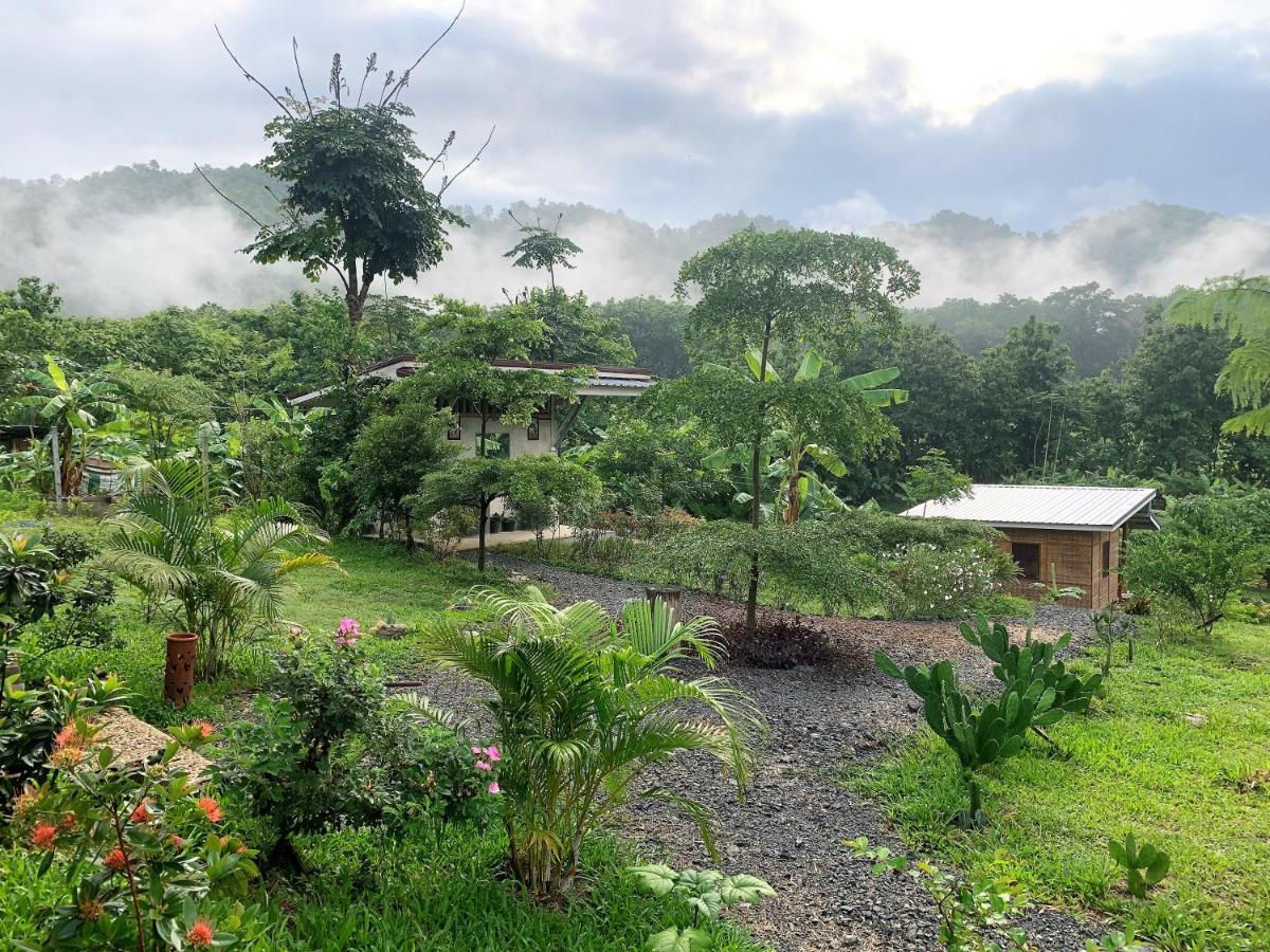 True Nature Chiang Mai - Yoga & Meditation Homestay Retreat エクステリア 写真