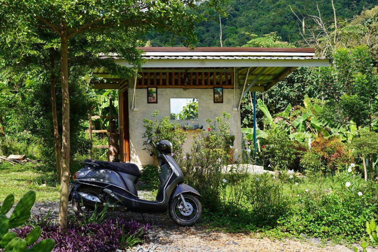 True Nature Chiang Mai - Yoga & Meditation Homestay Retreat エクステリア 写真