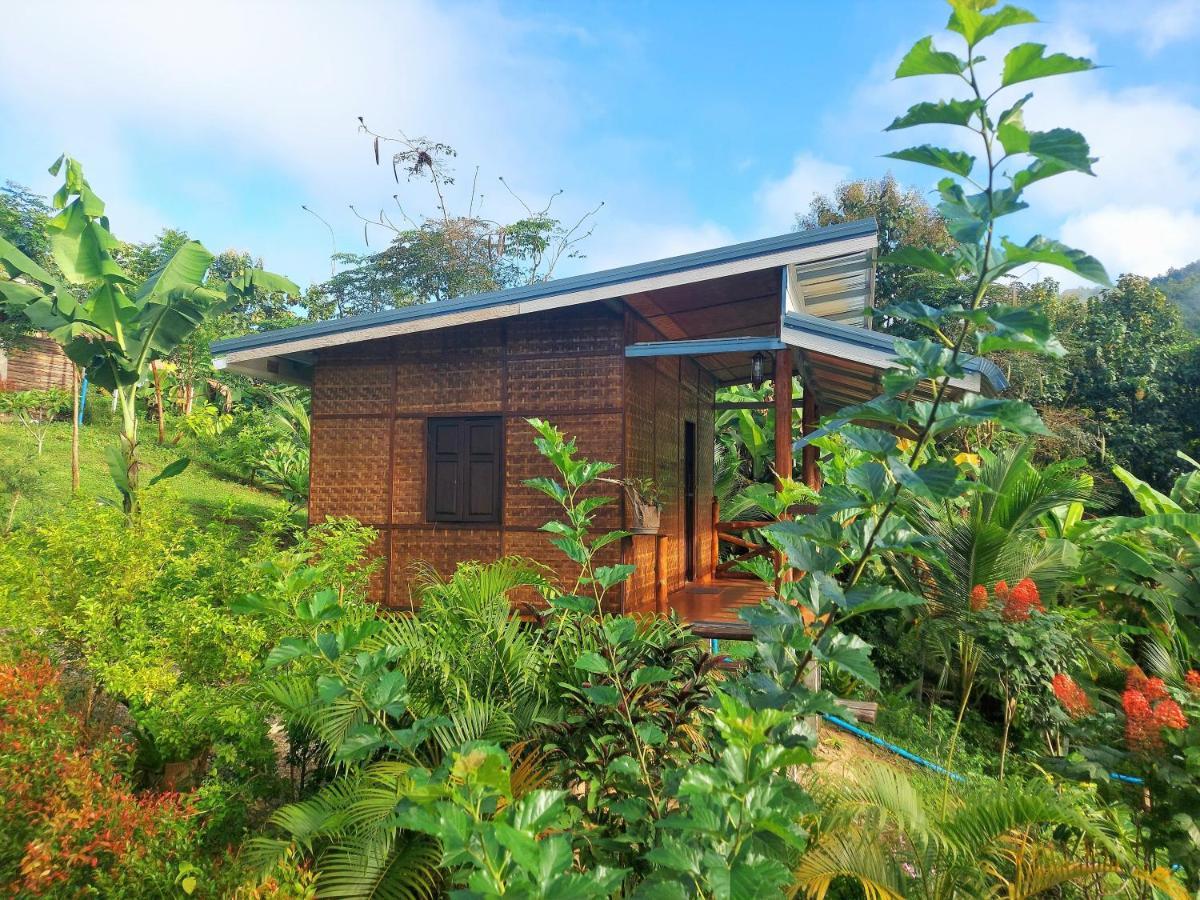 True Nature Chiang Mai - Yoga & Meditation Homestay Retreat エクステリア 写真