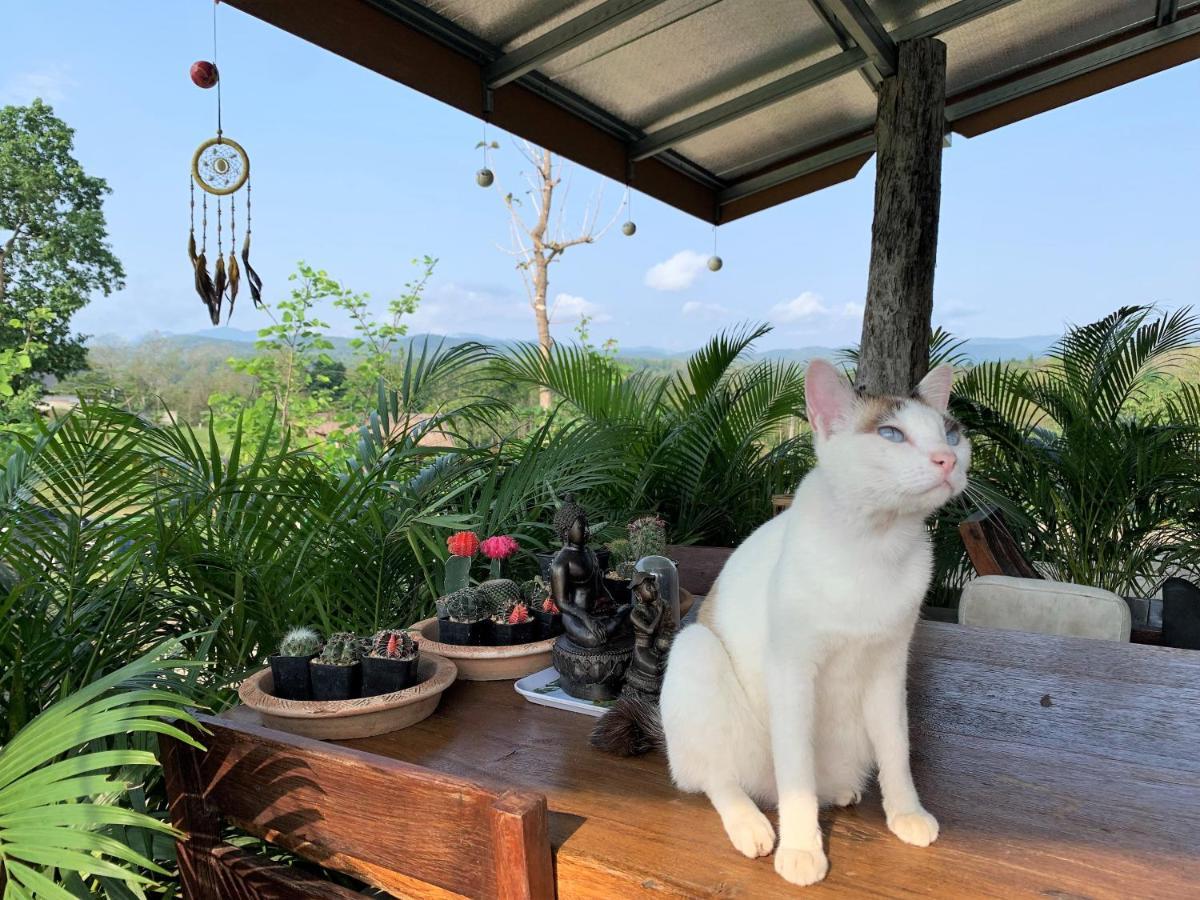 True Nature Chiang Mai - Yoga & Meditation Homestay Retreat エクステリア 写真