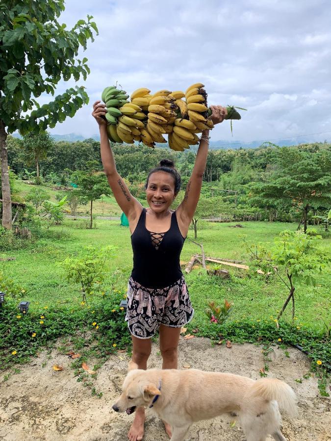 True Nature Chiang Mai - Yoga & Meditation Homestay Retreat エクステリア 写真