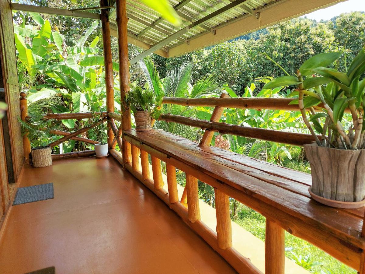 True Nature Chiang Mai - Yoga & Meditation Homestay Retreat エクステリア 写真