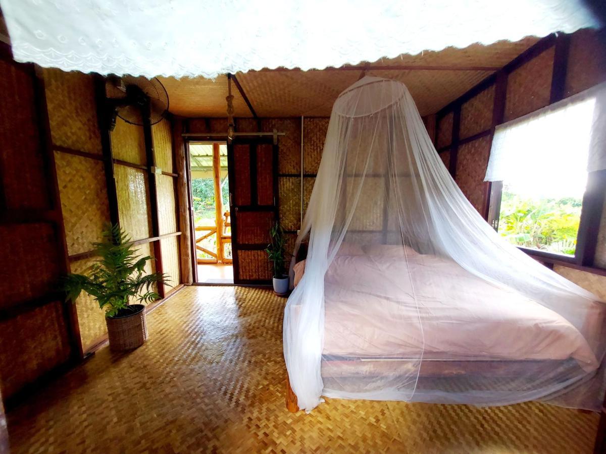 True Nature Chiang Mai - Yoga & Meditation Homestay Retreat エクステリア 写真
